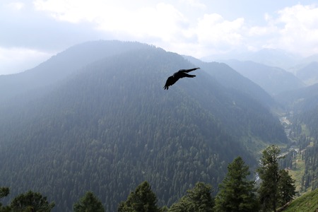 India Travel