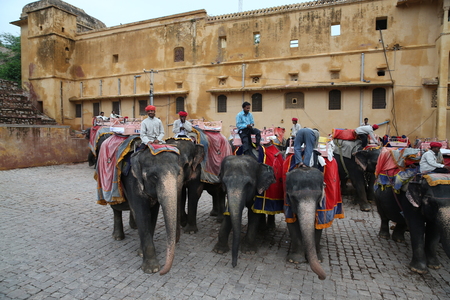 India Travelのeditorial素材