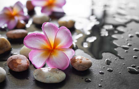 Plumeria flowers aromatherapy spa set with pebbles wet wooden blur background.の写真素材