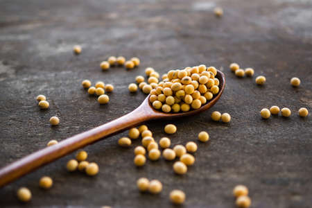 Soybean seeds on wooden spoon with black background. food and drink for health concept.の写真素材