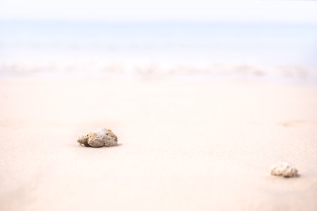 Soft focus Stone on sand beach at coast with  blur blue sea and blue sky. nature outdoor landscape background. tourism vacation travel tropical summer season ocean in holidays concept.の写真素材