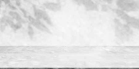 Backdrop empty gray cement wall room background with shadow leaves. blank table studio interiors floor concrete construction. mock up display free space for and text or products presentation.の写真素材