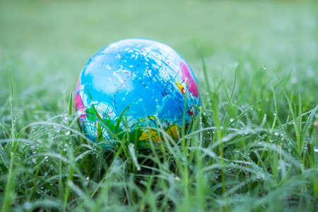 Globe on leaves grass background. earth on growth tree plant. concept for arbor day, card for world earth day, conservation,care eco protection, environment, biology clean and save life nature.の写真素材