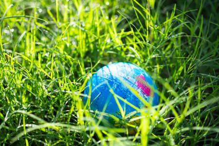 Globe Word on planet grass background. Earth on Nature green leaves Spring with light day. for eco...