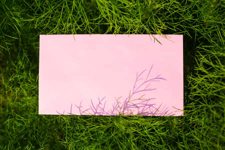 Mock up with green leaves. Pink frame blank paper on green leaf. flat lay or top view with copy...