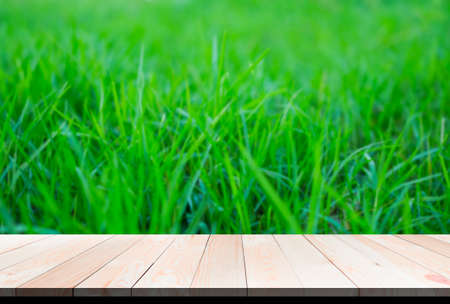 Blank wooden table perspective on green grass blured in season summer. saving environment Earth Day,...