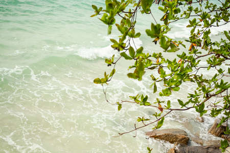 Wave blue sea and stone with green tree and Mountain, blue sky. view nature outdoor landscape...