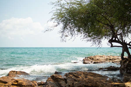 Blue sea and stone with blur tree at coast. ocean shore outdoor nature landscape background. tourist travel vacation tropical summer in holidays concept.の写真素材