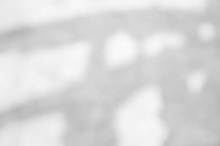 Blur Gray cement shadow leaves background. interior old rough surface texture dark black white floor stone. dirty pattern floor wall and soft light material inside wallpaper backdrop. loft room groundの写真素材