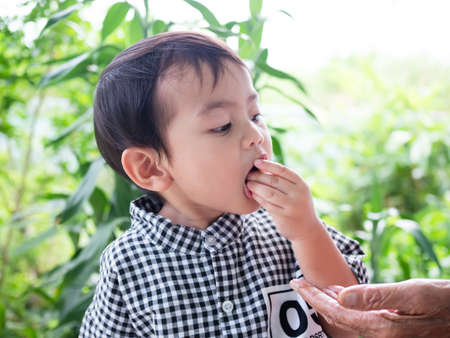 Portrait young boy 2 year old child eating snack food on green blur nature background. cute little...