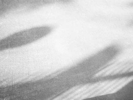 Blur Gray cement shadow leaves background. interior old rough surface texture dark black white floor...
