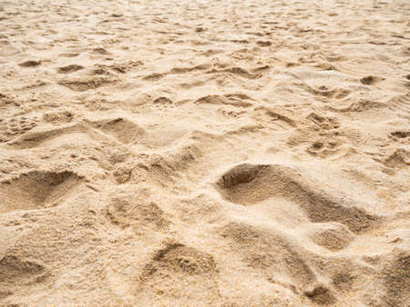 Sand background.brown yellow granula desert beach sea natural at coast.photography texture pattern...