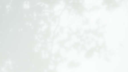 Blur Gray cement shadow leaves background. interior old rough surface texture dark black white floor...