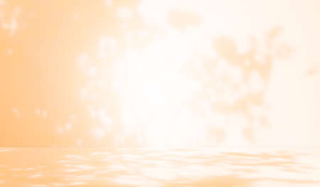 Background Studio Room autumn with wall shadow leaves plant.Abstract orange Cement Mockup Empty Table with White Sunlight Effect Reflection Backdrop.Blank Free space for Product Presentation.の写真素材