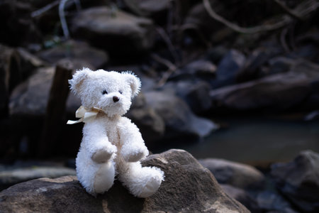 Teddy Bear Sitting on Stone with over light day,Poster Card for Broken Heart Problem...
