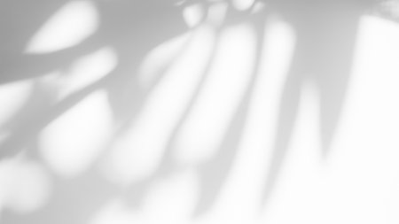 Blur Overlay Shadow Leaves Background,Abstract Sunlight effect Nature on Gray Cement Backdrop,Mock Up Display Free Space for add Products presentation,Structure Concrete Material Floor Construction.の写真素材