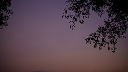 Sunset background.Gradient Sky and Cloud soft Pink and Purple color Sunshine.Light Sunrise Warm Clear Nature Backdrop.Free space.Card Poster for Tropical Travel Summer Holiday Concept.の写真素材