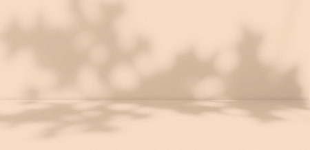 Background Studio Room Autumn with Wall Shadow Leaves Plant,Abstract Orange Cement Mockup Empty...