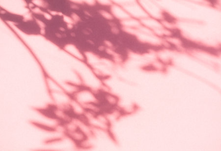 Abstract Background Shadow Leaves From window House Effect,Overlay Construction Concrete Red Cement...