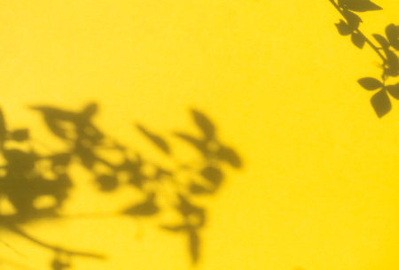 Abstract Background Shadow Leaves From window House Effect,Overlay Construction Concrete Yellow Cement Wall backdrop,Premium Design Mock up Banner Card Poster for Presentation Travel Summer Holidays.の写真素材