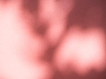 Abstract Background Shadow Leaves From window House Effect,Overlay Construction Concrete Red Cement...