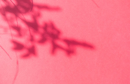 Abstract Background Shadow Leaves From window House Effect,Overlay Construction Concrete Red Cement...