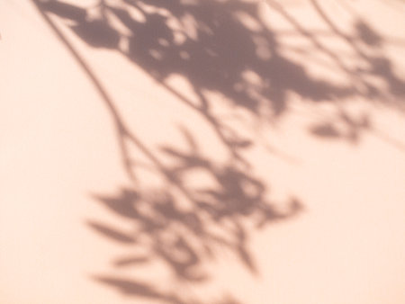 Abstract Background Shadow Leaves From window House Effect,Overlay Construction Concrete Oragne Cement Wall backdrop,Premium Design Mock up Banner Card Poster for Presentation Atumn Season Concept.の写真素材