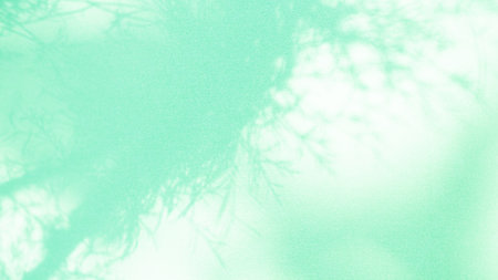 Abstract Background Shadow Leaves From window House Effect,Overlay Construction Concrete Green...