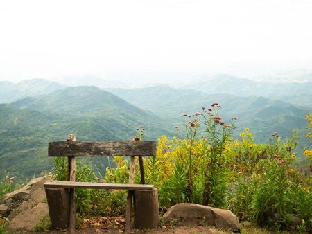 Blank wooden Chair in Forest with Flowers and Fog on Mountains Background,Empty Mock Up Chair in Nature Autumn Season Growth Tree in Park,for Tourism Vacation Travel summer in Holidays and Honeymoon.の写真素材