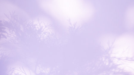 Abstract Background Shadow Leaves From window House Effect,Overlay Construction Concrete Purple Cement Wall backdrop,Premium Design Mock up Banner Card Poster for Presentation Atumn Season Concept.の写真素材