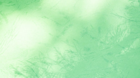 Abstract Background Shadow Leaves From window House Effect,Overlay Construction Concrete Green Cement Wall backdrop,Premium Design Mock up Banner Card Poster for Presentation Atumn Season Concept.の写真素材