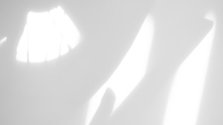 Abtract Overlay Shadow Leaves on Grey Cement Background,Texture Surface Design Vintage Styles...