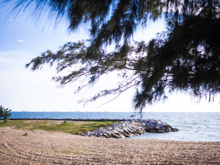 Sand beach blue sea and blue sky with tree. Landscape outdoor view coast ocean. tourist vacation travel tropical nature summer in holidays concept.の写真素材