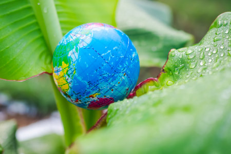Globe or earth on tree top green leaves banana. saving  protect, environment, arbor day, card for world earth day, conservation, eco concept.の写真素材