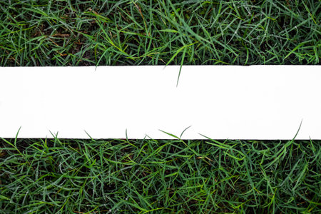 Mock up white wooden on green grass plant garden outdoor. design blank poster card top view with free space for add text presentation. nature environment or spring change season concept.の写真素材