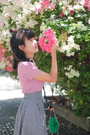 Woman standing and holding Bougainvillea pink flowers for smell and holding camera and Face mask.tourist vacation travel tropical nature outdoor in holidays .authentic slim fit, skin tan, black hair.の写真素材