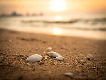 Shellfish SeaShell on Sand Beach at Coast with Golden Light Sunset Nature Background,Shore on Dusk,for Tourism Relax Travel Tropical Vacation Summer Holidays or Couple Love Valentine Days Concept.の写真素材