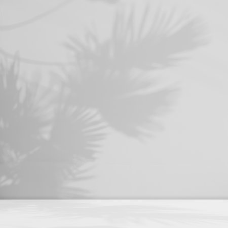 Shadow Palm Leaves Studio Room Background,Shelf Podium Product Summer Tropical Autumn Concept,White Light Overlay on Wall Floor Kitchent Counter Bar Desk Workshop Table Template Plant.の写真素材