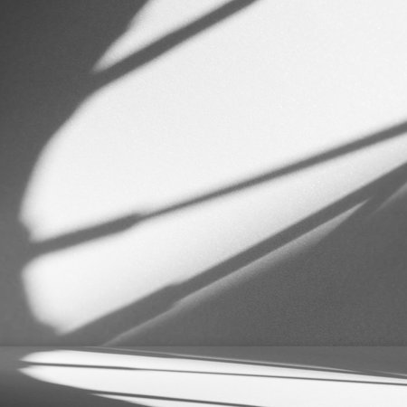 Shadow Nature on Plant Product Background,Silhouette Line Overlay Sun Light from Window House on Studio Room Kitchen Counter Bar Shelf Space Backdrop,Texture Template Workplace Table Cement Concrete.の写真素材