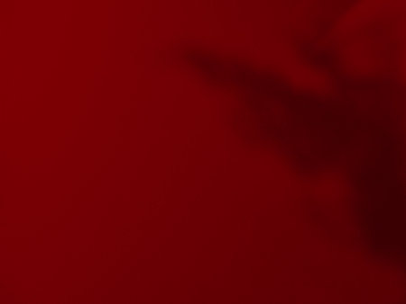 Abstract Red Background Summer Spring Autumn,Overlay Light Shadow Leaves from Window House on Wall Floor Mable Cement Concrete Backdrop.の写真素材