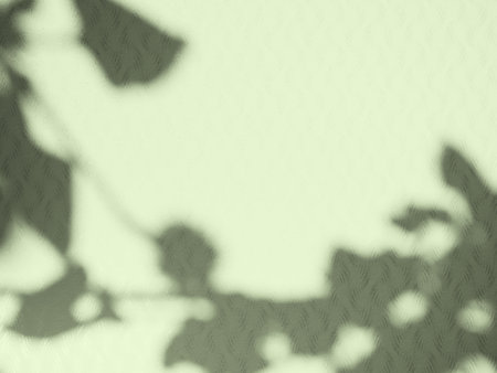 Abstract Background Summer Spring Autumn,Overlay Light Shadow Green Leaves from Window House on Wall Floor Mable Cement Concrete Backdrop.の写真素材
