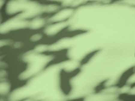 Abstract Background Summer Spring Autumn,Overlay Light Shadow Green Leaves from Window House on Wall Floor Mable Cement Concrete Backdrop.の写真素材