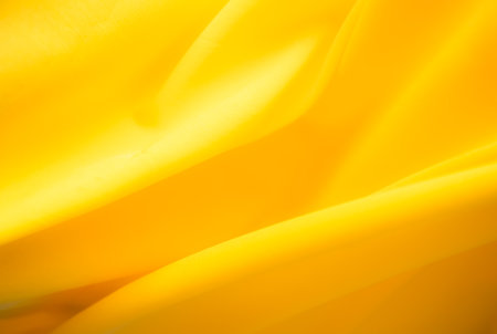 Yellow Cloth for Summer Tropical Background,Color Fabrick Skilk with Light Gradient Backdrop,Textile Wave Gold Luxury Banner Material,Poster Orange for add Product Presentation.の写真素材