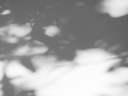 Abstract Shadow Leaves on Wall Floor Cement Background,Texture Overlay Sun Light Silhouette Nature Leaf from Window Interior Room Building House Concrete,Blur Backdrop Structure Marble Grey Vintage.の写真素材