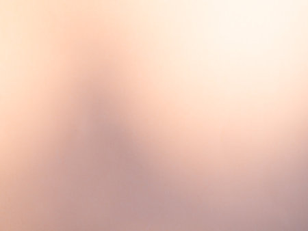 Abstract Summer Background with Shadow Leaf on Cement Wall Plant,の写真素材