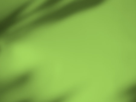 Abstract Background Summer Spring Autumn,Overlay Light Shadow Green Leaves from Window House on Wall Floor Mable Cement Concrete Backdrop.の写真素材