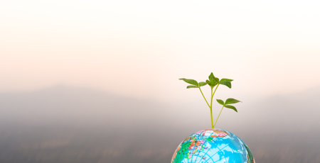Earth Day World Concept with Small Plant Growth Tree Global on Sunset Nature Background,Growth Plant Meadow with Word Model and Cloud Sky Nature Free Space,Environment Eco Safe Energy Life Save.の写真素材