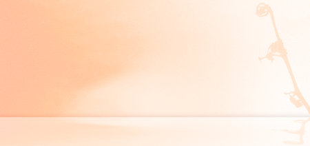 Summer Background Studio Room,Light Shadow Leaf on Wall Floor Peach Color Table Loft Backdrop,Pastel Shelf Product Tropical Spring Autumn,Gradient Overlay Flower Orange Desk Cosmetic on Cement Kitchenの写真素材