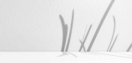 Light Shadow Leaf on White Wall Background,Abstract Overlay Leaves on Floor Cement Studio Room,Gray Table Product Podium Minimal elegant Scene Backdrop,Empty Plant Platform Interior Display Desk Loft.の写真素材