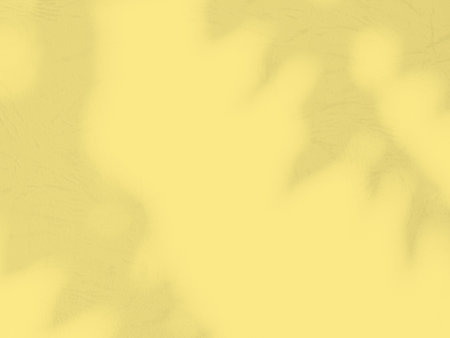 Abstract Shadow Yellow Leaf on Blur Cement Wall Floor Background,Summer Pastel Minimal Plant Tree Nature Light Overlay Leaves Backdrop,Mock.up Product Texture Template Pattern Space Scene Shape.の写真素材